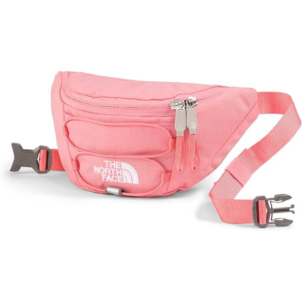 Amazon.com | THE NORTH FACE Jester Lumbar Pack, Fawn Grey Fall
